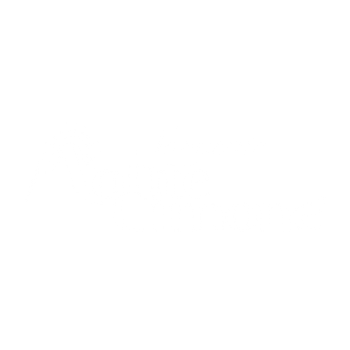 Progetto senza titolo.zip - 14