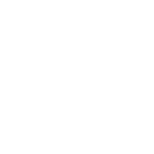 SUPPORTING PARTNER