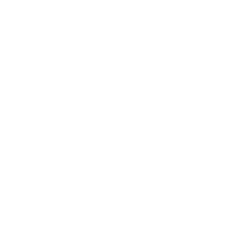 MEDIA PARTNER​