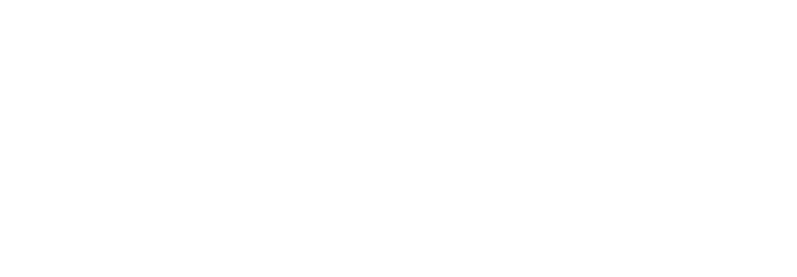 MEDIA PARTNER​